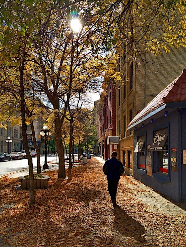 Autumn leaves, Exchange District, Winnipeg (Photo credits Brent Bellamy)
